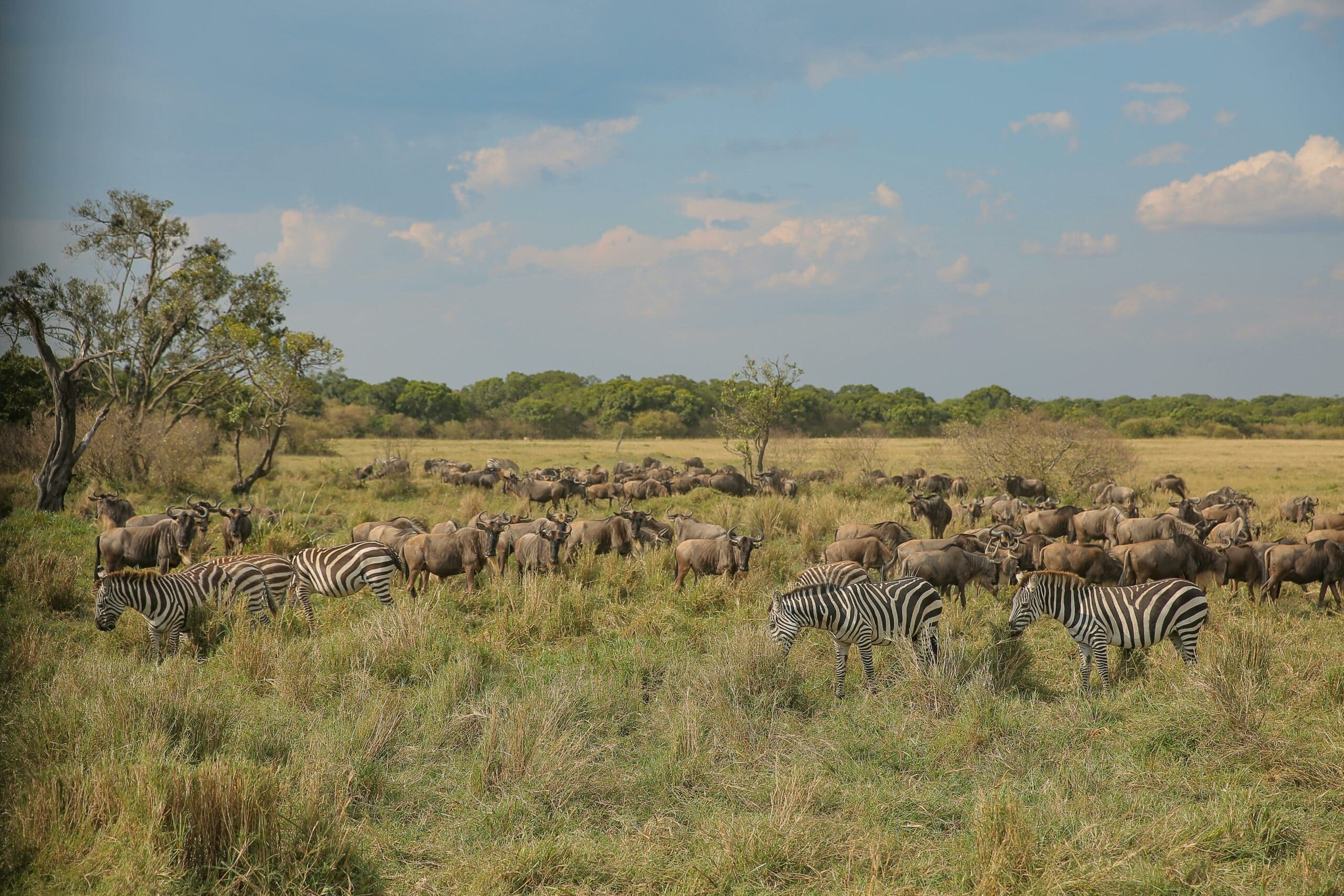 ngorongoro1