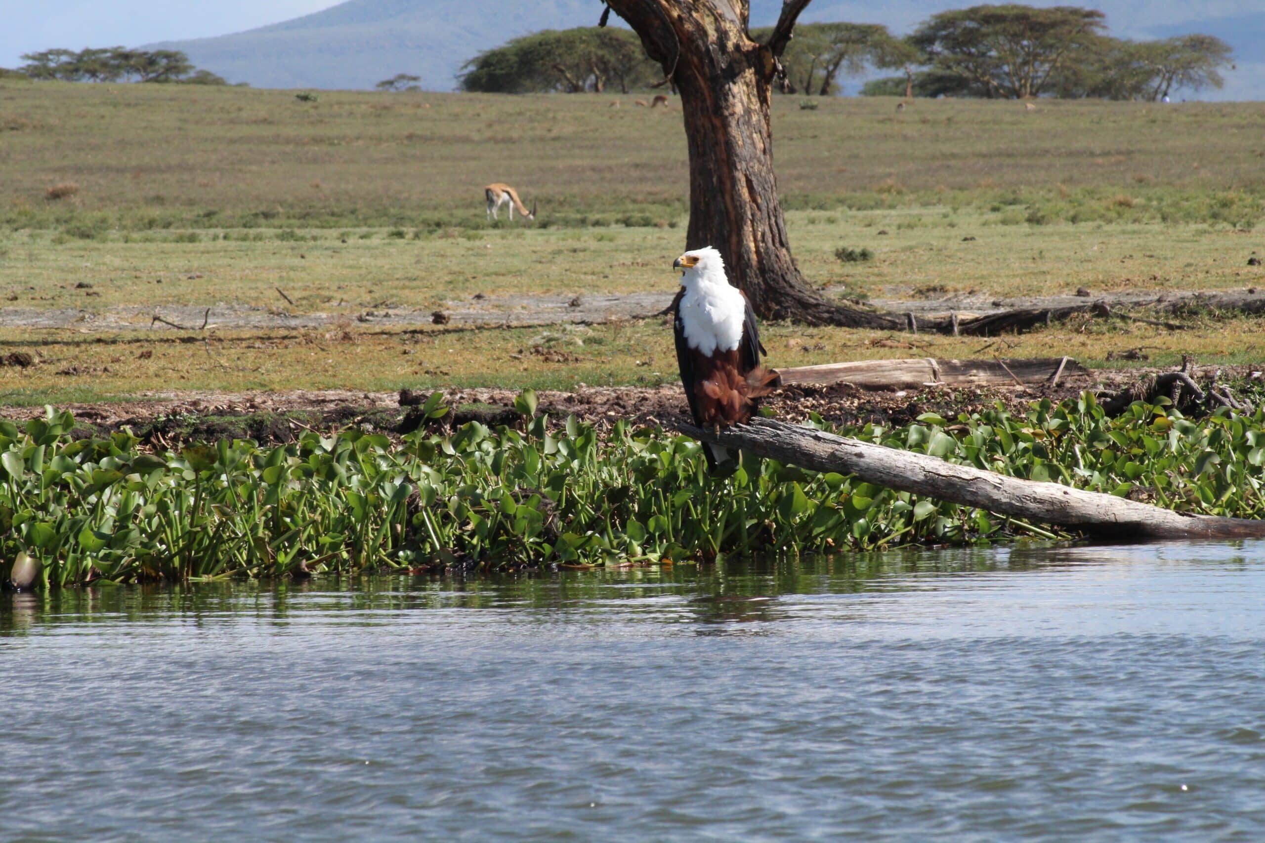 ngorongoro10