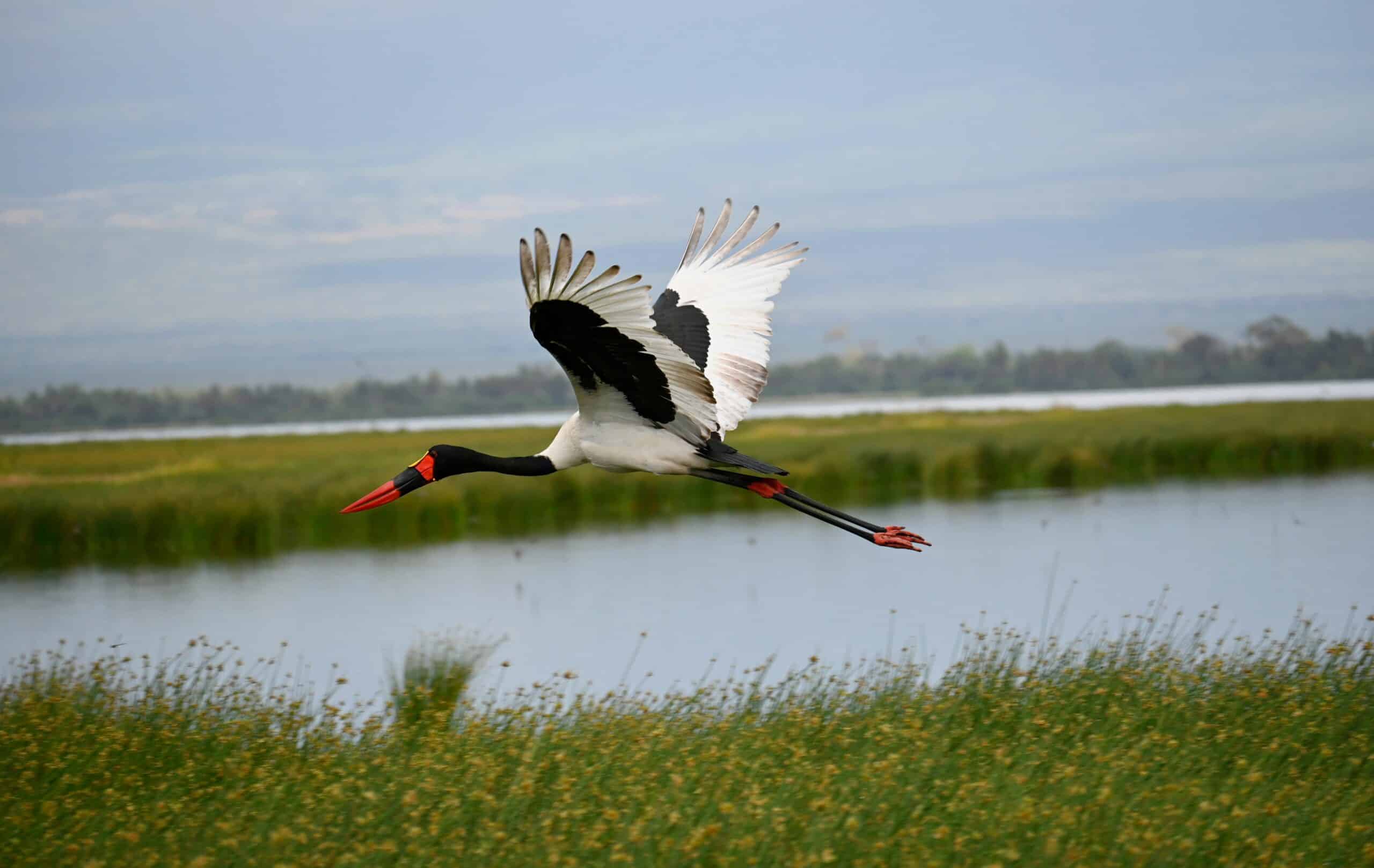 ngorongoro11