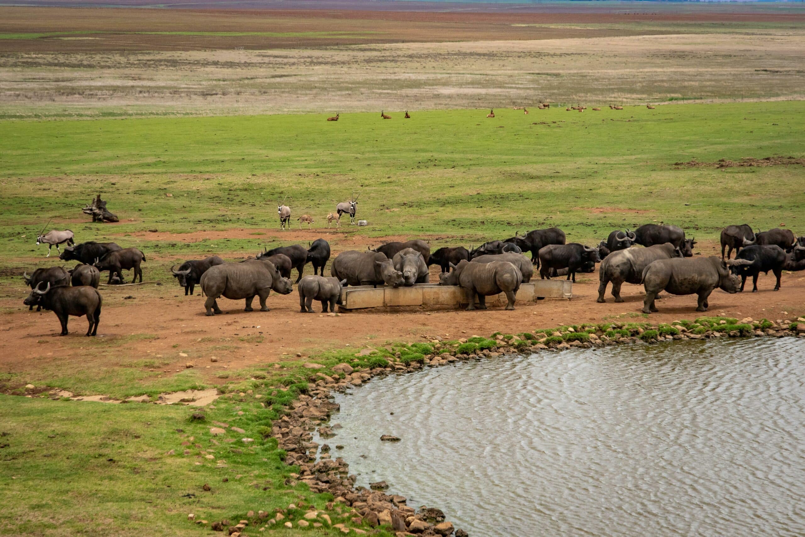 ngorongoro13