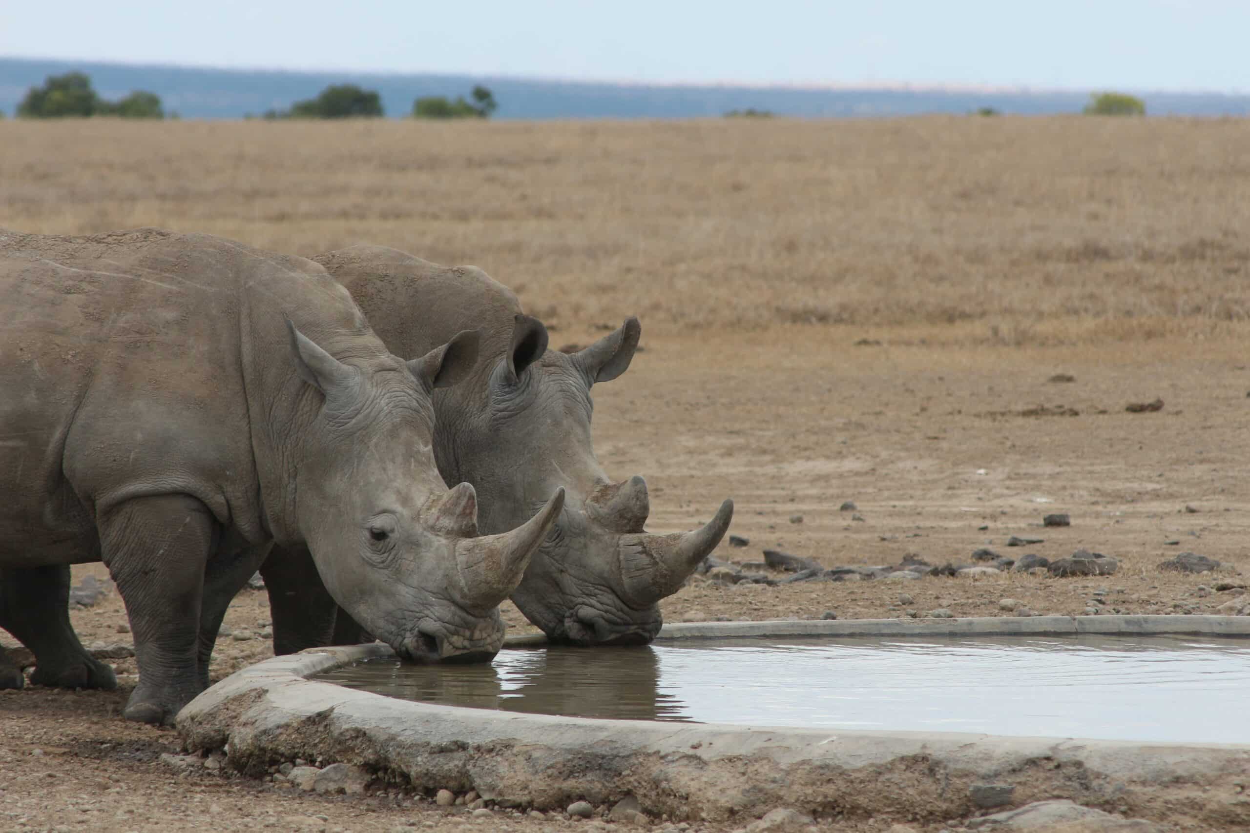 ngorongoro18