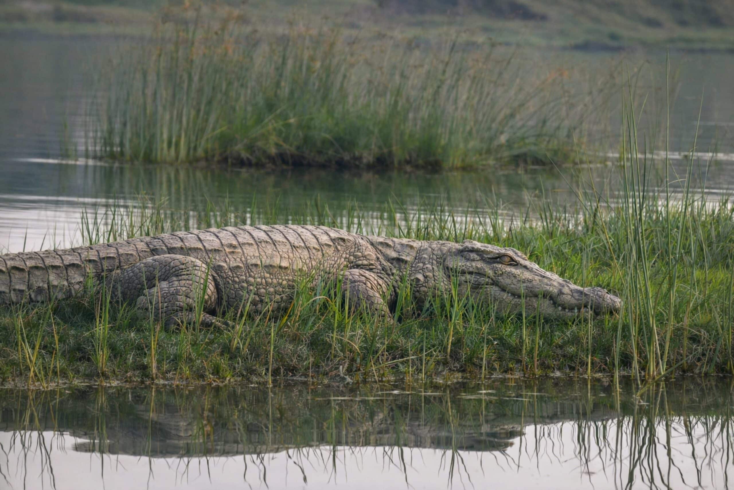 ngorongoro2
