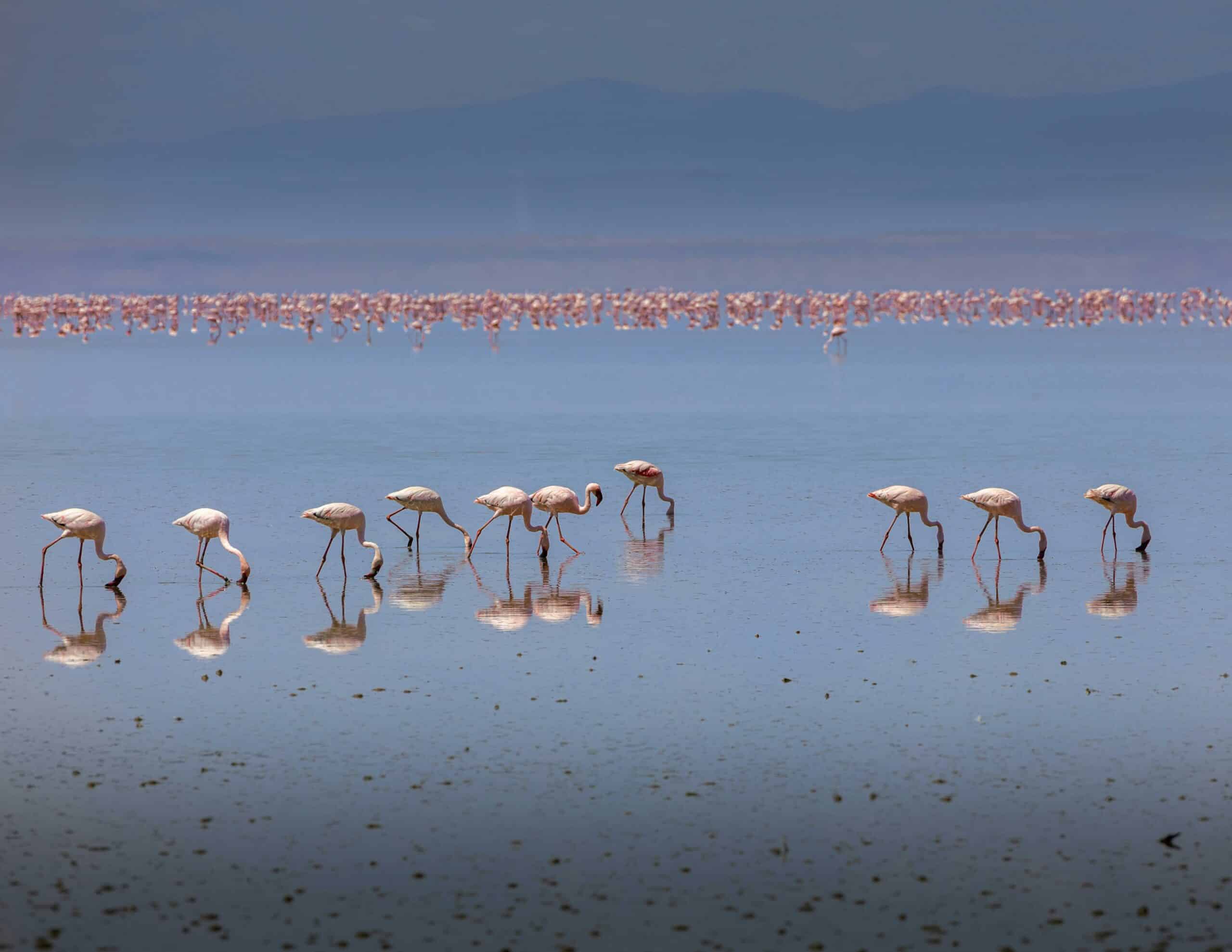 ngorongoro20