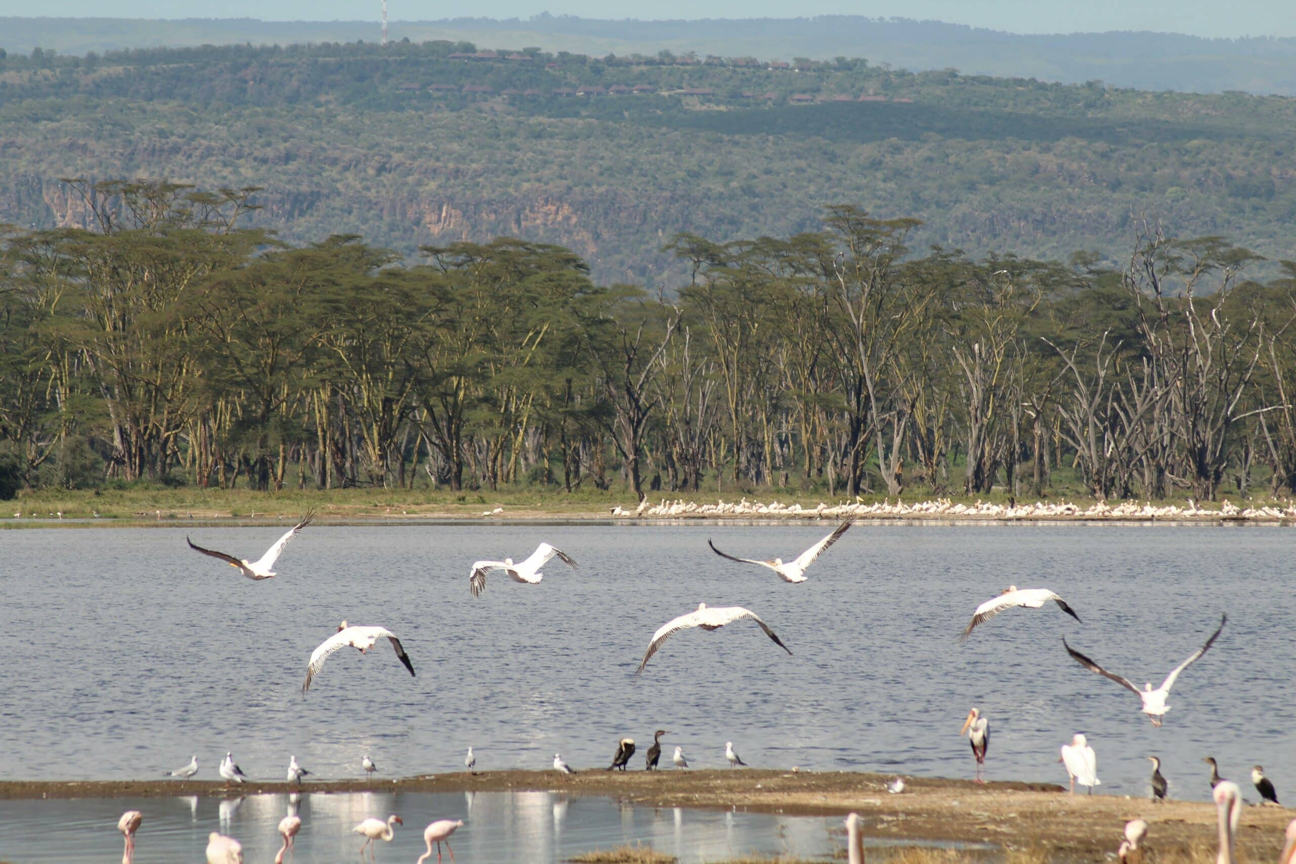 ngorongoro9