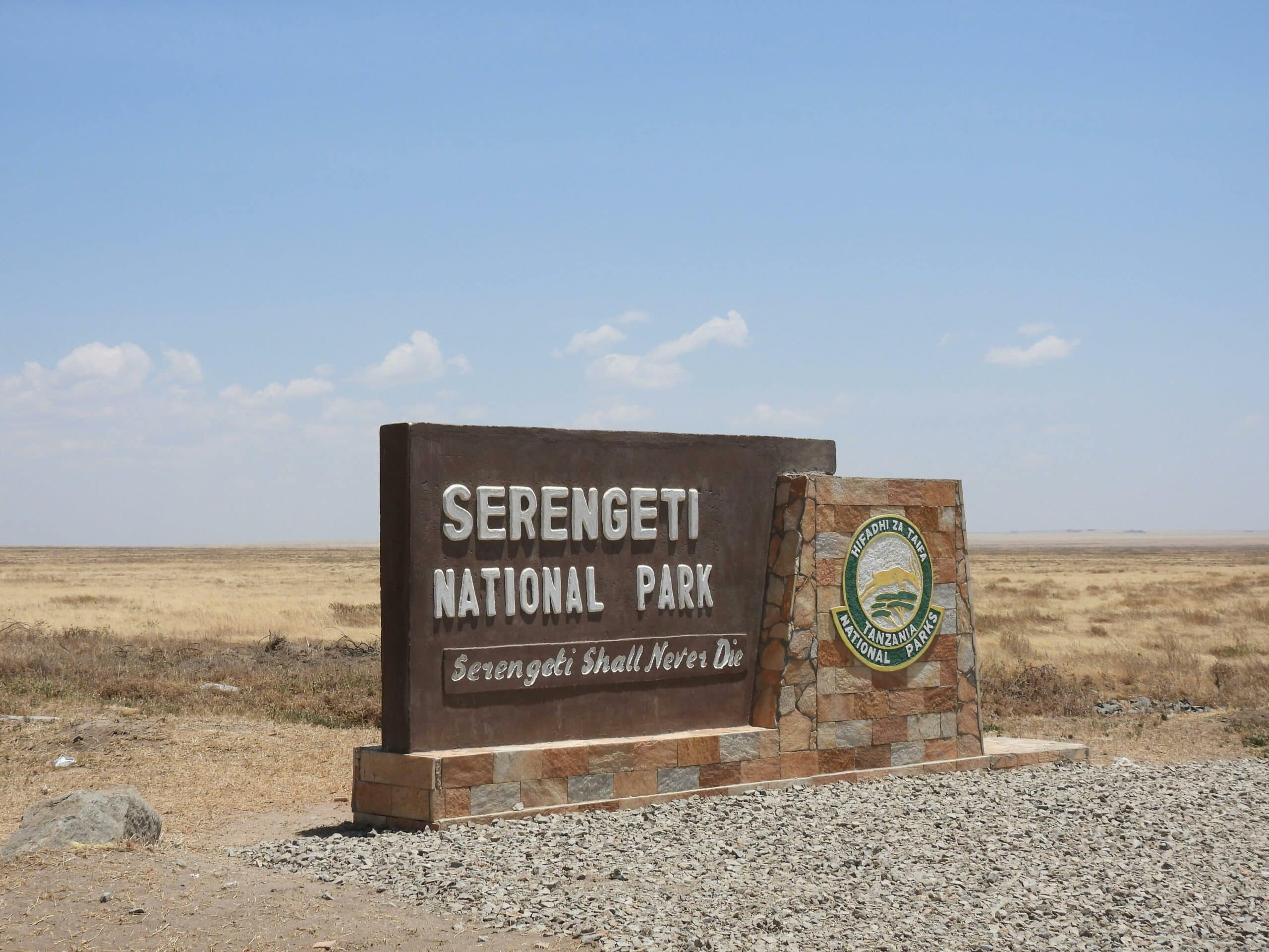 serengeti31