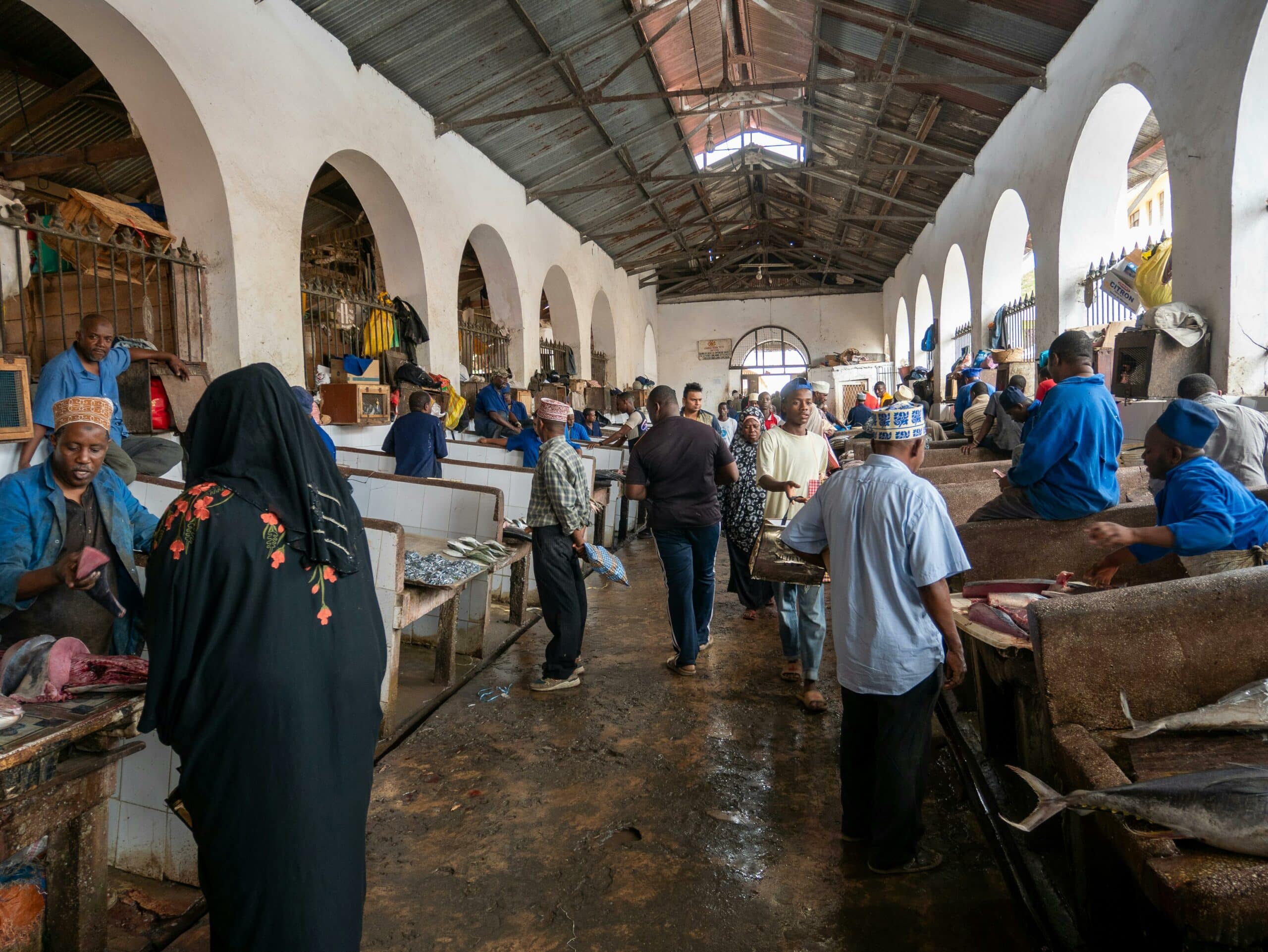 viaje a zanzibar20
